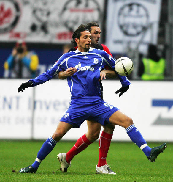 异国他乡的 异国他乡的